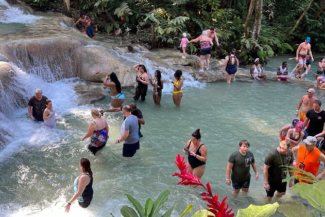 Dunns River Falls And Blue Hole Private Tour From Montego Bay Travel