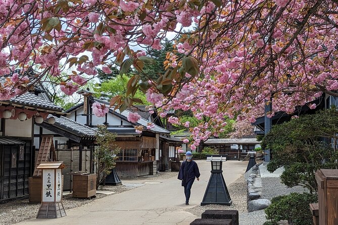 Chartered Private Tour - Tokyo to Nikko, Toshogu, Edo Wonderland - Tour Overview