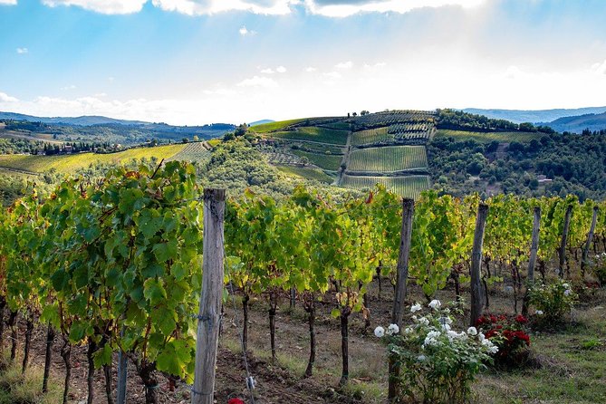 Chianti Safari: Tuscan Villas With Vineyards, Cheese, Wine & Lunch From Florence - Tour Highlights
