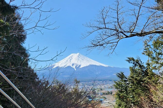 Day Mount Fuji Private Tour English Speaking Driver