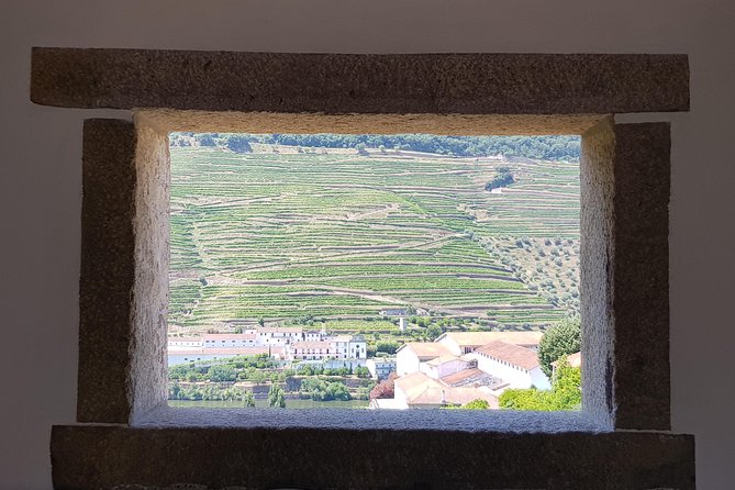 Douro Valley Wine Tour: 3 Vineyard Visits, Wine Tastings, Lunch