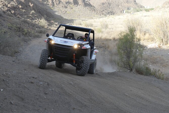 EXCURSION IN UTV BUGGYS ON and OFFROAD FUN FOR EVERYONE!