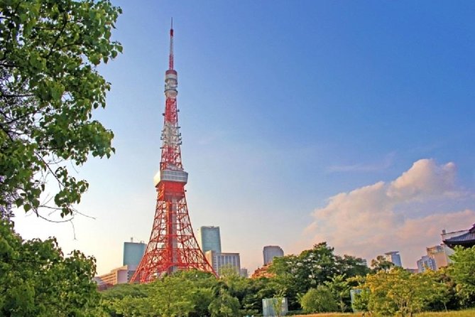 Freely Set up Plans Guided Private Tours in Tokyo - Customized Private Tour Experiences