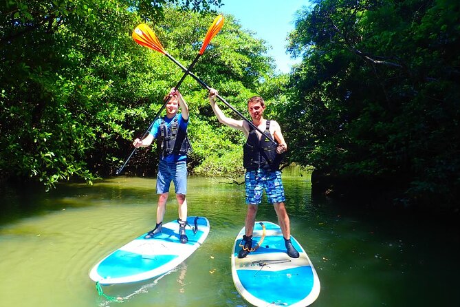 [Input TEXT TRANSLATED INTO English]:Ishigaki Mangrove Sup/Canoe + Blue Cave Snorkeling[Directions]:You Are a Translator Who Translates INTO English. Repeat the INPUT TEXT but in English - Overview