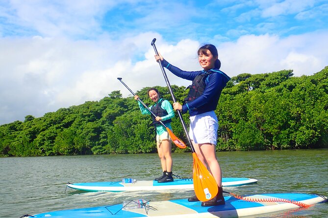 [Ishigaki] Mangrove SUP/Canoe Tour