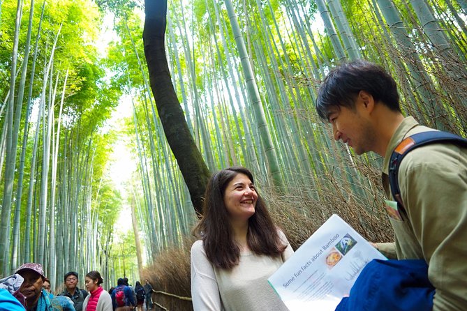 Kyoto Arashiyama Bamboo Forest & Garden Half-Day Walking Tour - Overview of the Tour