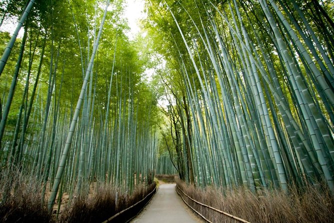 Kyoto Arashiyama Rickshaw Tour With Bamboo Forest - Tour Overview