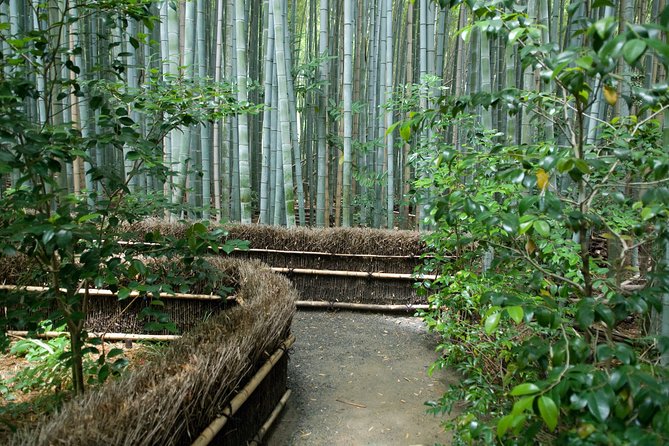 Kyoto Bamboo Forest Electric Bike Tour
