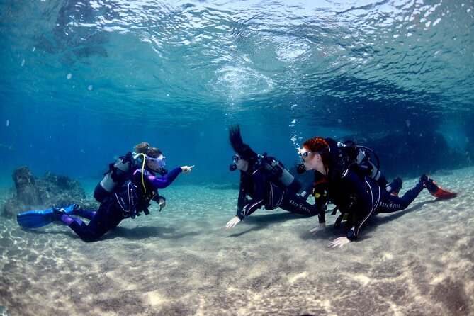 Lanzarote Introductory Scuba Diving Experience - Experience Details