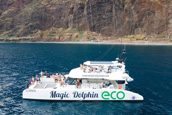 Madeira Dolphin and Whale Watching on a Ecological Catamaran - Departure Details