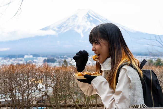 Mount Fuji Private Tour by Car - English Speaking Driver - Included in the Tour