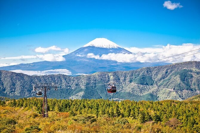 Mt. Fuji and Hakone Private Tour With English Speaking Driver