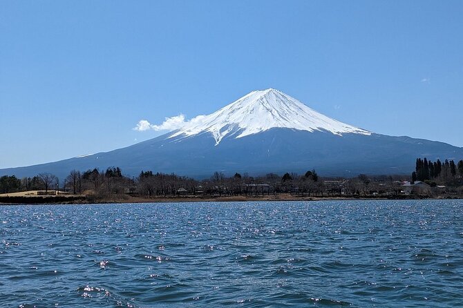 Mt. Fuji and Lake Kawaguchi Day Trip With English Speaking Driver - Tour Overview