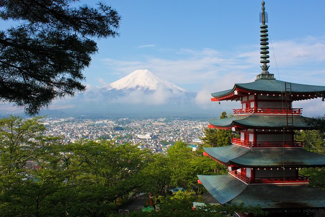 Mt Fuji Day Trip With Private English Speaking Driver - Itinerary Highlights