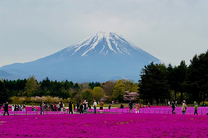 Mt. Fuji & Lake Kawaguchiko Private 1 Day Tour With Pick & Drop