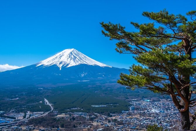 Mt. Fuji Private Tour by Car With Pick-Up From Tokyo - Tour Overview