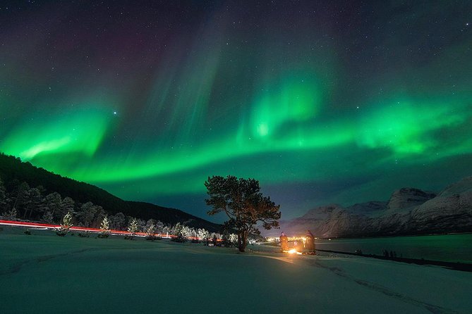 Northern Lights Minibus Chase From Tromso - Additional Details