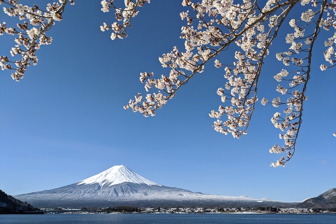 Private Car Tour to Mt. Fuji Lake Kawaguchiko or Hakone Lake Ashi - Comprehensive Tour Overview
