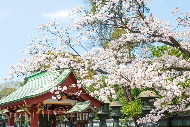 Secret Food Tours Tokyo W/ Private Tour Option