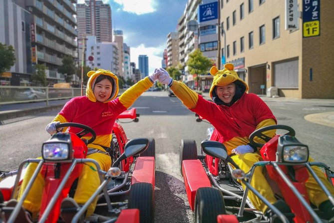 Street Osaka Gokart Tour With Funny Costume Rental - Tour Overview