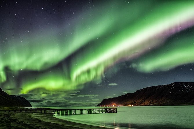 #1 Northern Lights Tour in Iceland From Reykjavik With PRO Photos - Inclusions and Amenities