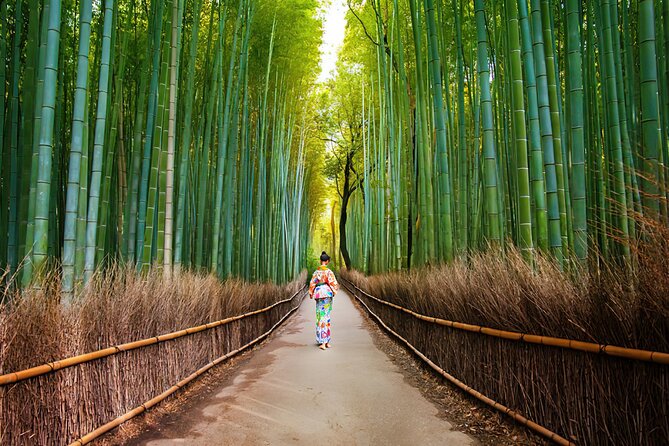 Arashiyama Walking Tour - Bamboo Forest, Monkey Park & Secrets - Included Activities