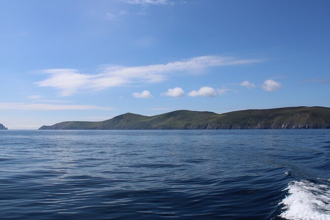 Dingle Dolphin Blasket Adventures - Additional Information and Policies