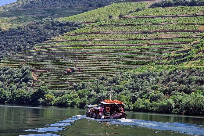 Douro Valley All Included: Expert Guide, Boat, Lunch, Tastings - Itinerary Details