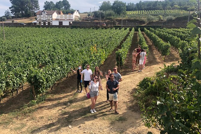 Douro Valley: Small-Group Tour Wine Tasting, Lunch, River Cruise - Itinerary Details and Lunch Menu