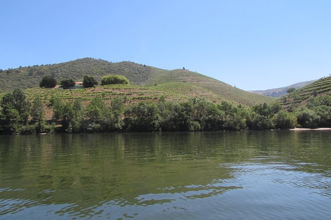 Douro Valley Tour: 2 Vineyard Visits, River Cruise, Winery Lunch - Tour Itinerary