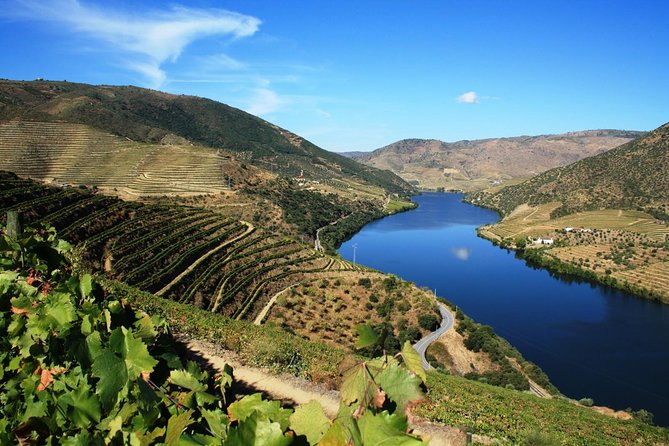 Douro Valley Wine Tour: 3 Vineyard Visits, Wine Tastings, Lunch - Customer Reviews