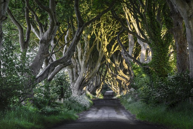 Game of Thrones and Giants Causeway Full-Day Tour From Belfast - Additional Information