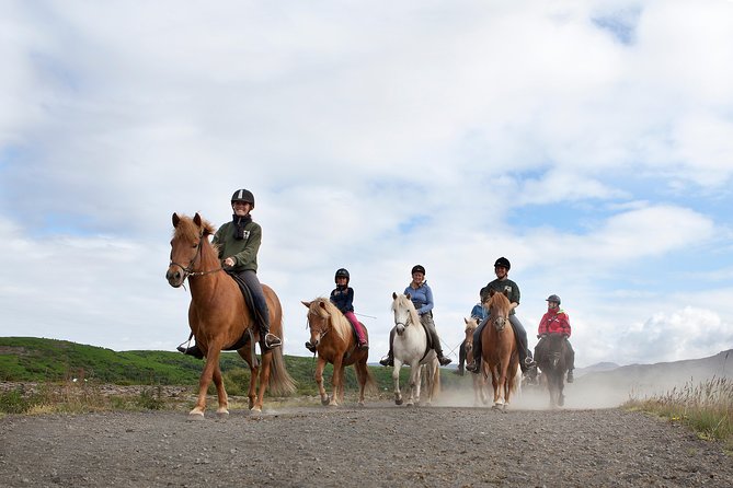 Icelandic Horseback Riding Tour From Reykjavik - Tour Experience