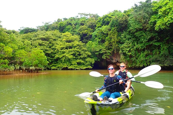 [Input TEXT TRANSLATED INTO English]:Ishigaki Mangrove Sup/Canoe + Blue Cave Snorkeling[Directions]:You Are a Translator Who Translates INTO English. Repeat the INPUT TEXT but in English - Inclusions