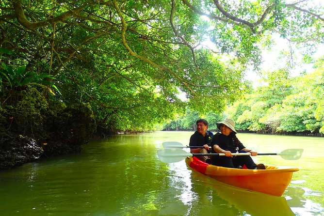 [Ishigaki] Mangrove SUP/Canoe Tour - Inclusions