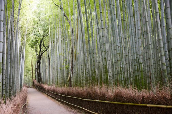 Kyoto Arashiyama Best Spots 4h Private Tour With Licensed Guide - Ancient Bridges and Temples