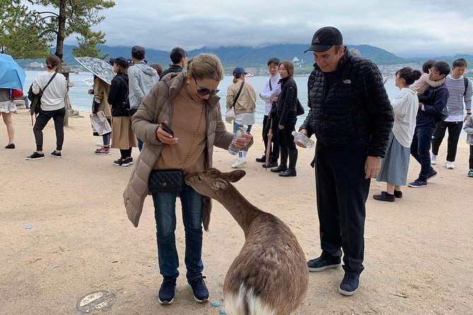 Miyajima Half-Day Private Tour With Government Licensed Guide - Visiting Daishoin Temple