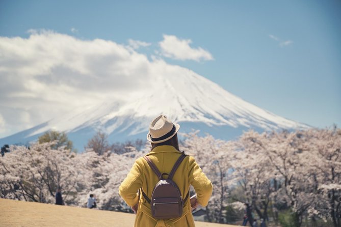 Mt Fuji Day Trip With Private English Speaking Driver - Tour Details