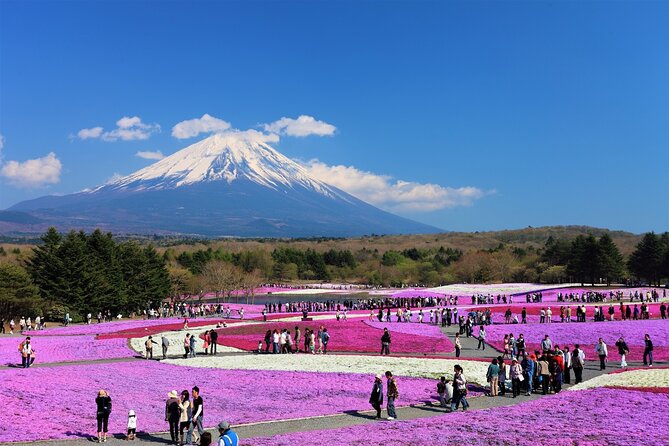 Mt. Fuji, Hakone Full-Day Private Tour With English Driver Guide - Inclusions