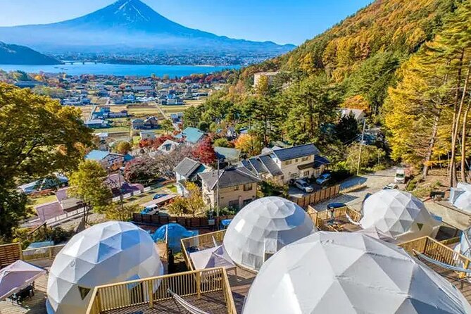 Mt. Fuji Private Tour by Car With Pick-Up From Tokyo - Activity Details