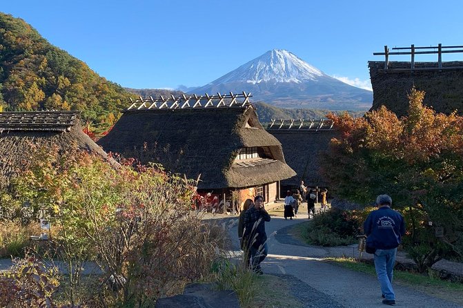 Private Sightseeing to Mt Fuji and Hakone Guide - Highlights of the Tour