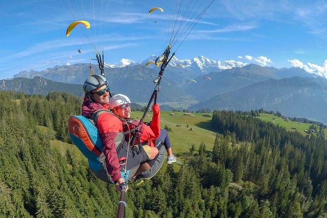 Tandem Paragliding Experience From Interlaken - Inclusions and Services Provided
