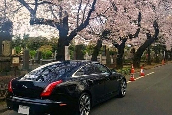 Tokyo Private Sightseeing Tour by English Speaking Chauffeur - Included Services