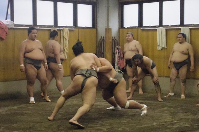 Tokyo Sumo Morning Practice Tour at Stable - Daily Training Regimen of Sumo Athletes