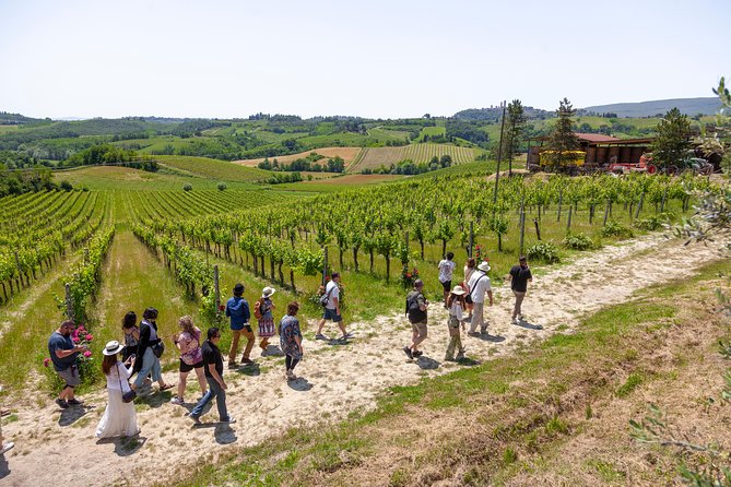 Tuscany Day Trip From Florence: Siena, San Gimignano, Pisa and Lunch at a Winery - Itinerary