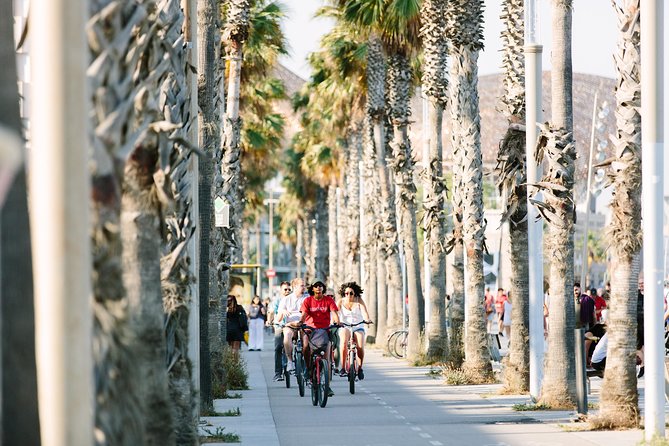Barcelona Half Day Bike Small Group Tour - Tour Inclusions