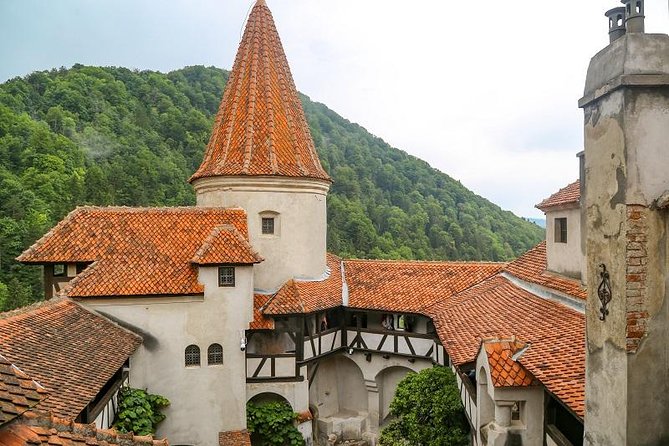 Bran Castle and Rasnov Fortress Tour From Brasov With Optional Peles Castle Visit - Customer Reviews and Testimonials