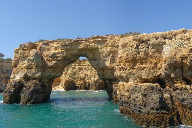 Caves and Coastline Cruise From Albufeira to Benagil - Host Interactions