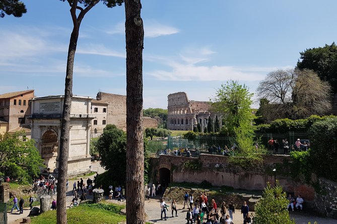Colosseum Arena Floor, Roman Forum and Palatine Hill Guided Tour - What To Expect