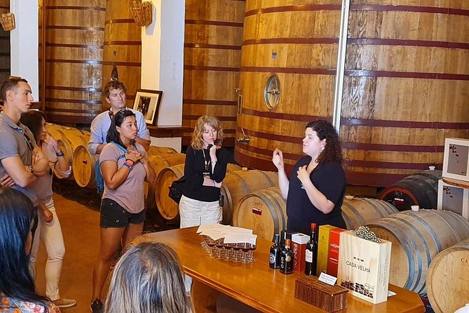 Complete Douro Valley Wine Tour With Lunch, Wine Tastings and River Cruise - Douro River Cruise